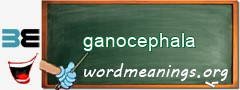 WordMeaning blackboard for ganocephala